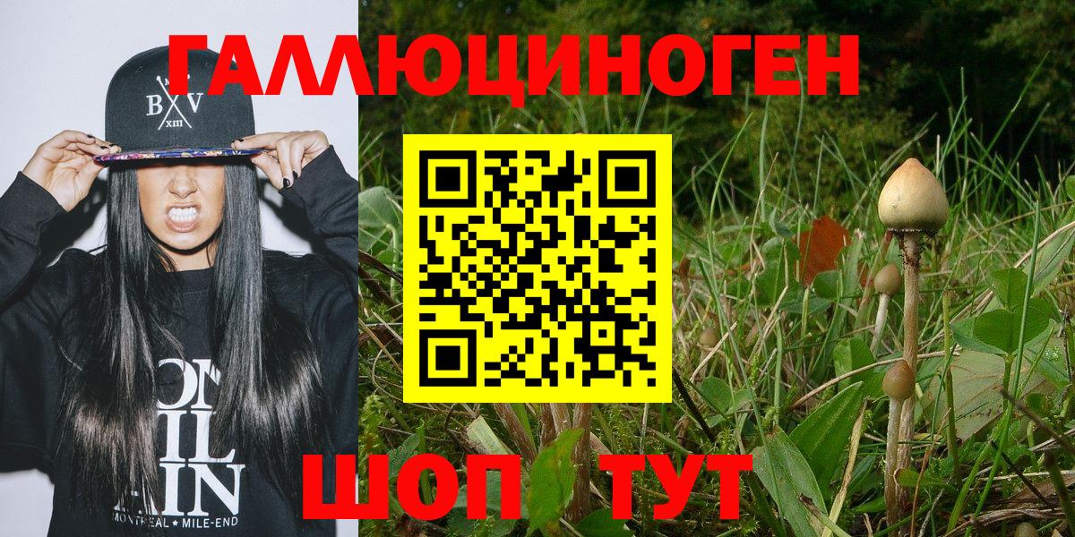 Псилоцибиновые грибы ЛСД  Псилоцибиновые грибы GOLDEN TEACHER  Краснотурьинск  Вход с VPN 