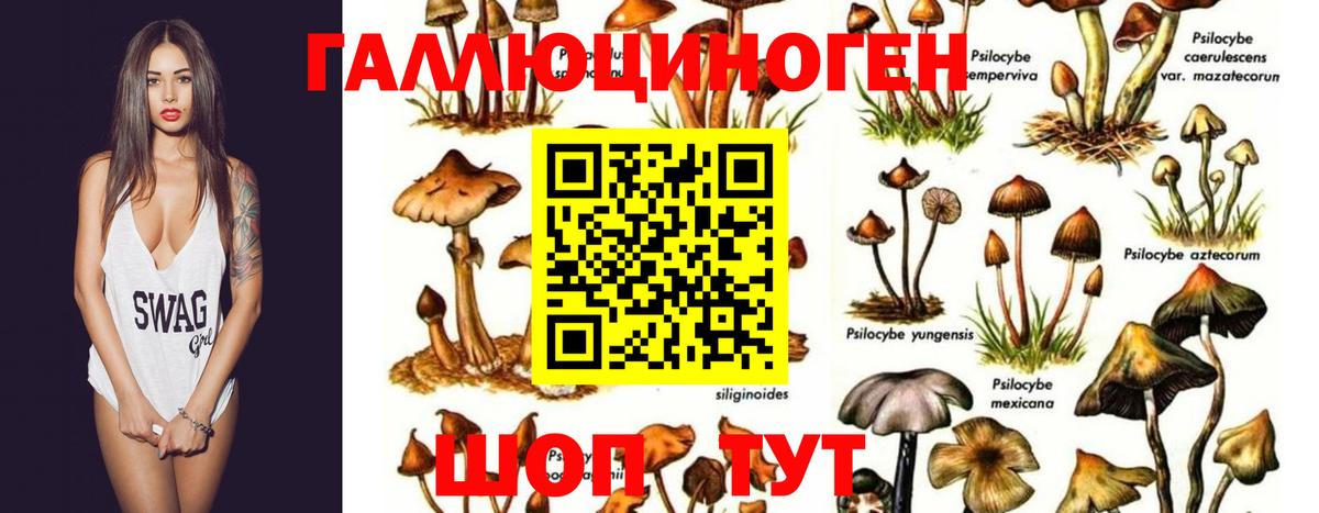 Галлюциногенные грибы мицелий Краснотурьинск